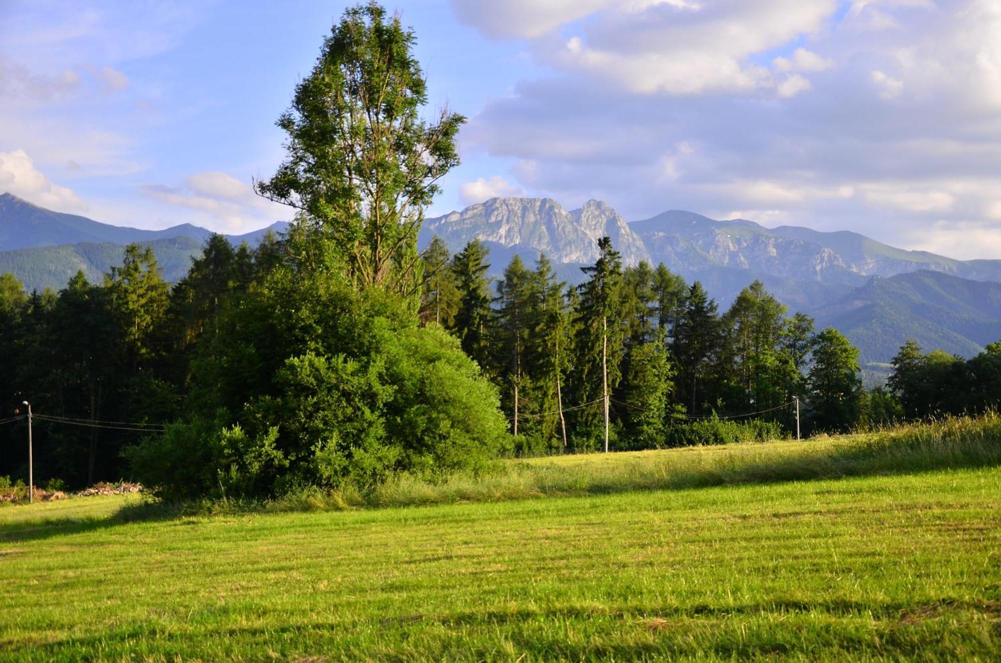 Chata Walczakow -Blue Cave Cottage Zakopane Exterior photo
